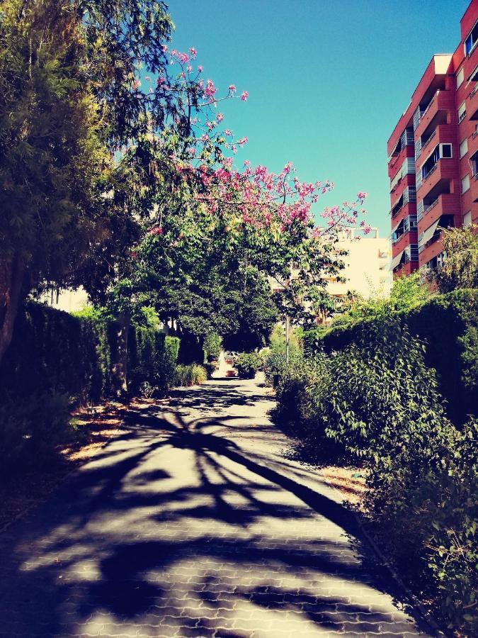 בנידורם Casablanca Mediterranean מראה חיצוני תמונה